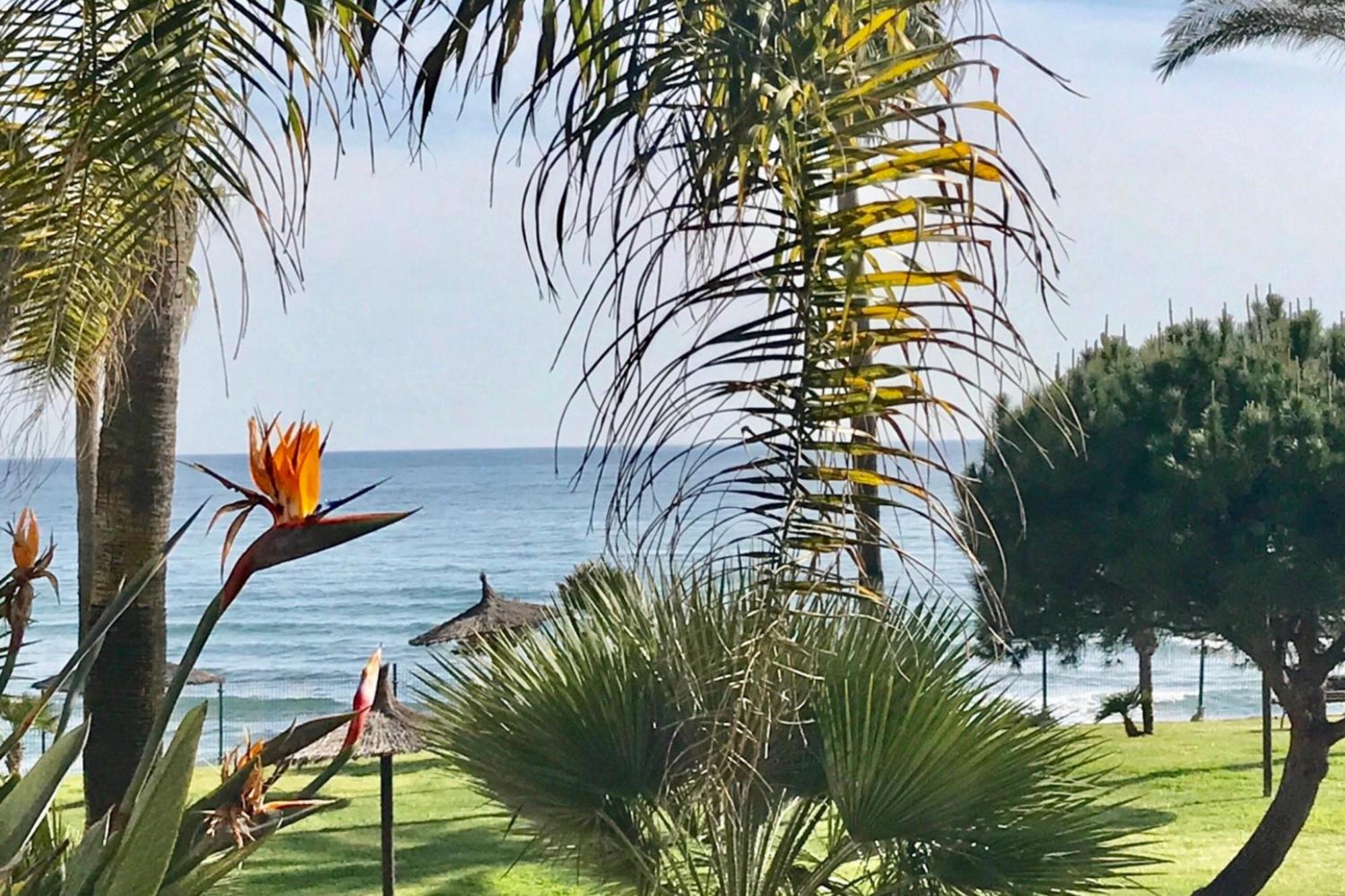 Mi Capricho 2D Beachfront- Apartment With Sea View - Costa Del Sol Sitio de Calahonda Ngoại thất bức ảnh